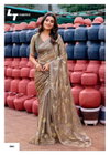 Primark Vol 30 By LT Pn Cloud Embroidery Party Wear Saree Wholesale Online
